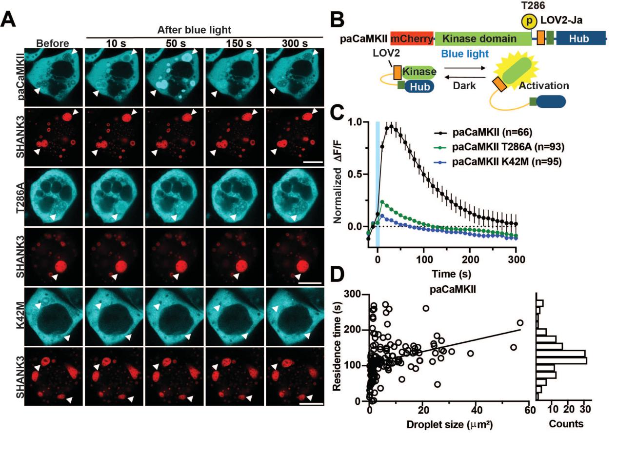 beat365在线体育app