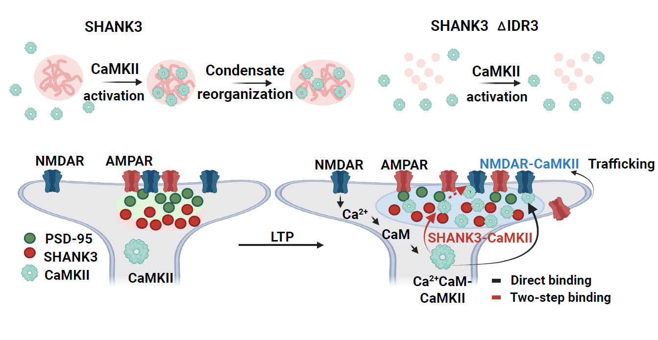 beat365在线体育app