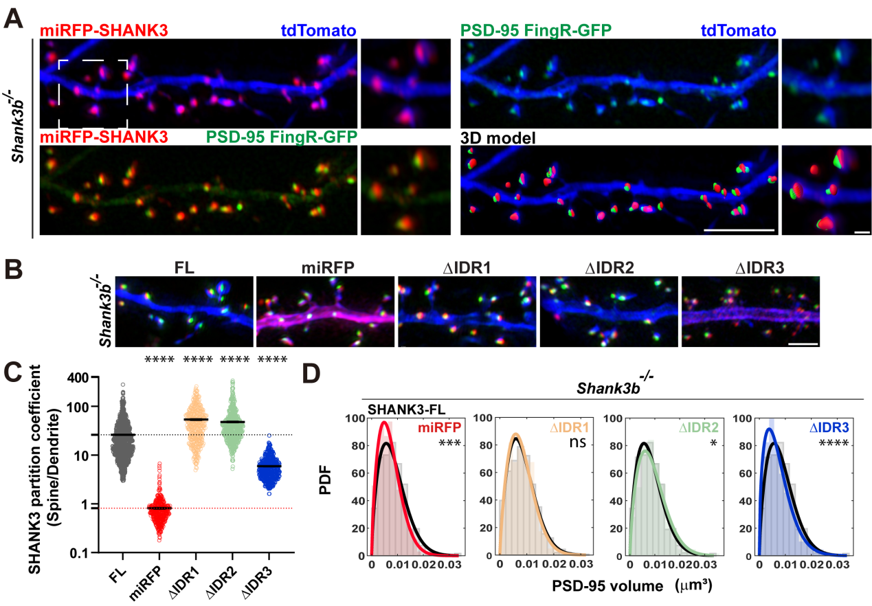beat365在线体育app