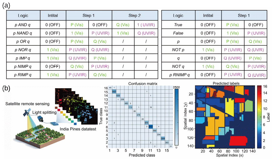 beat365在线体育app