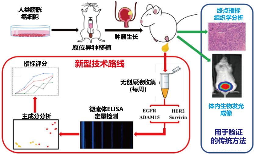 beat365在线体育app