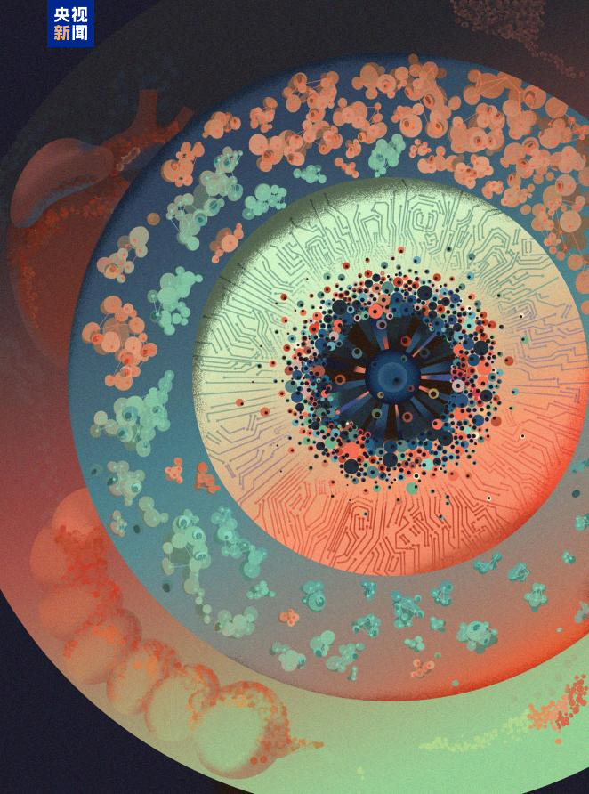 beat365在线体育app