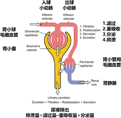 beat365在线体育app