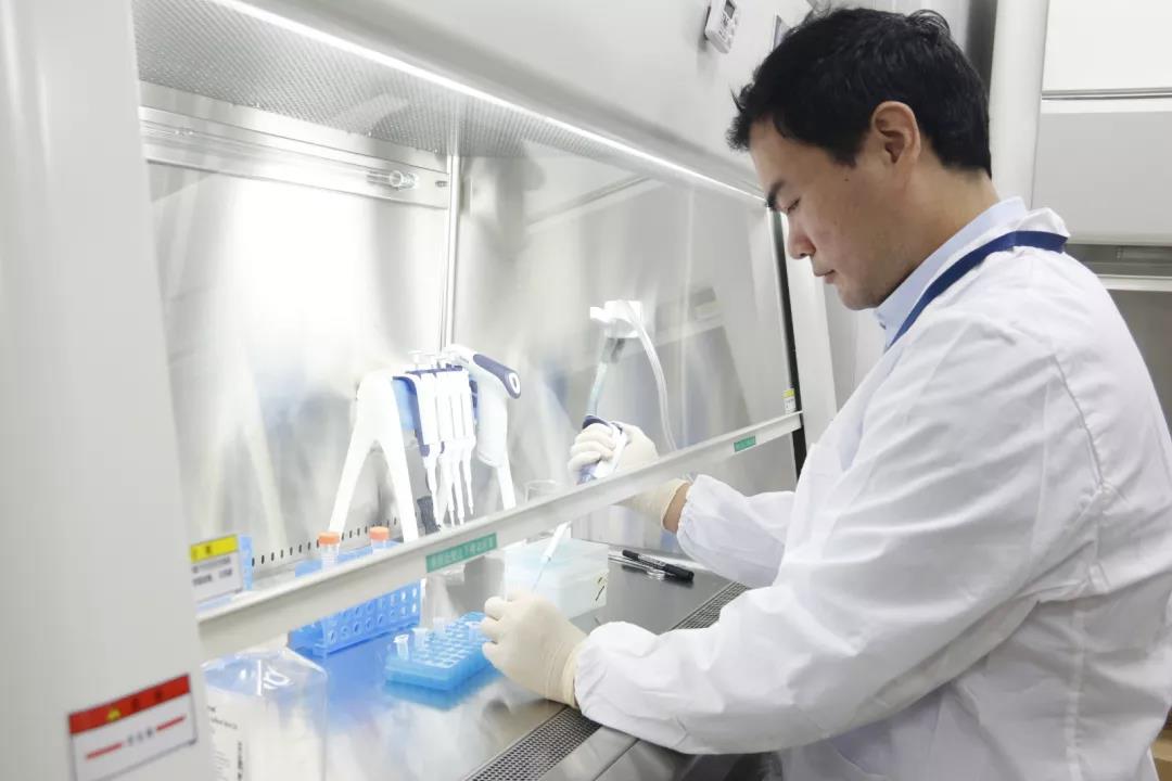 beat365在线体育app