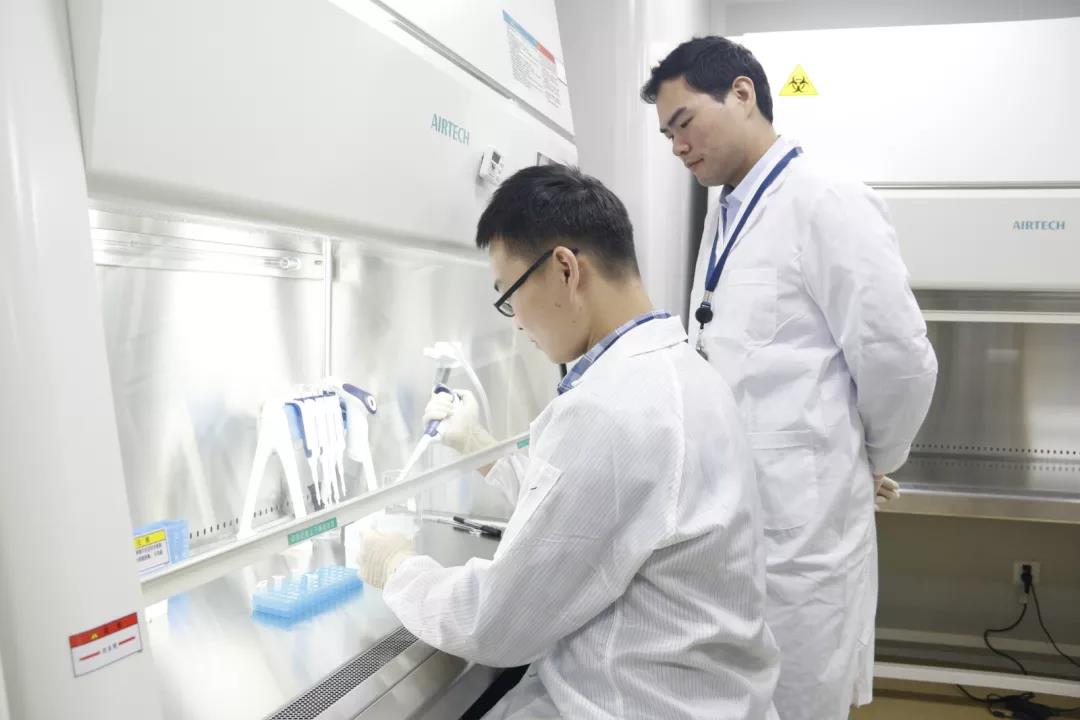 beat365在线体育app