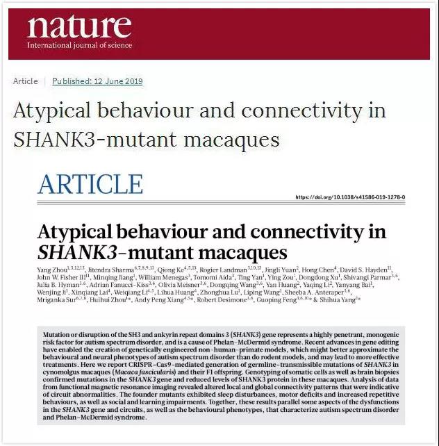 beat365在线体育app