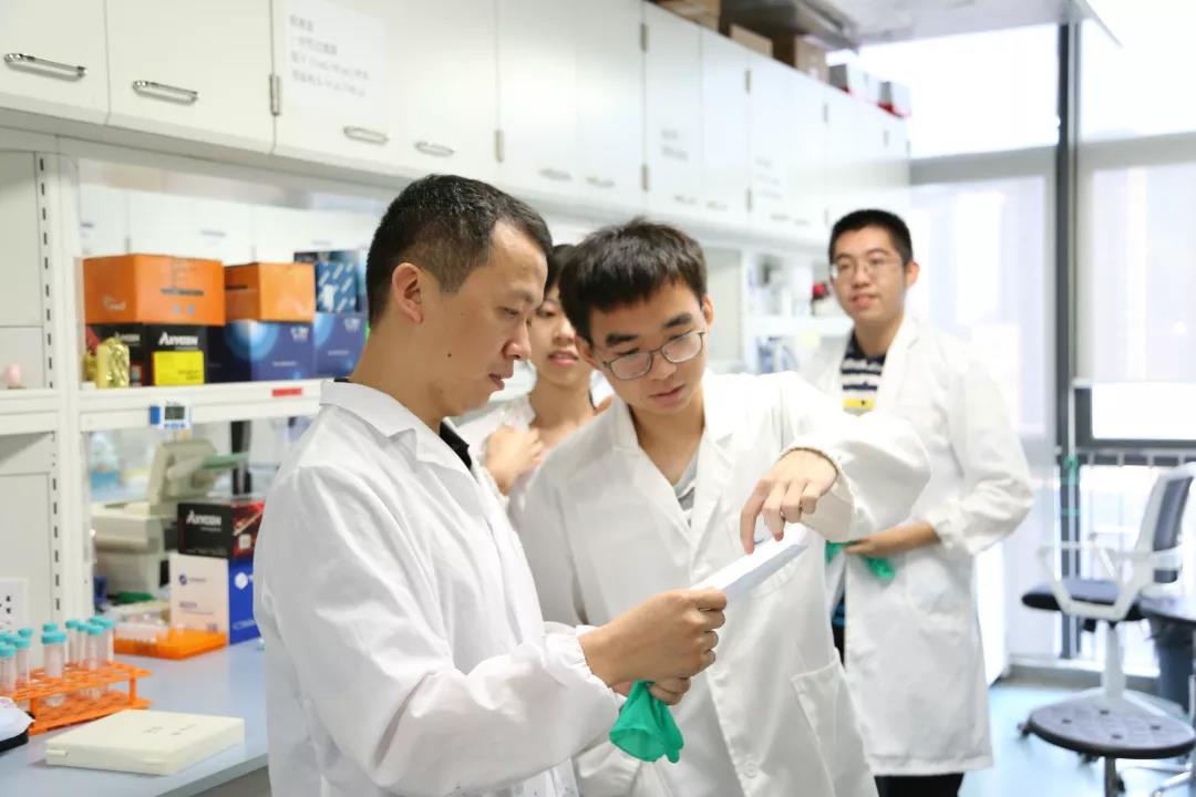 beat365在线体育app