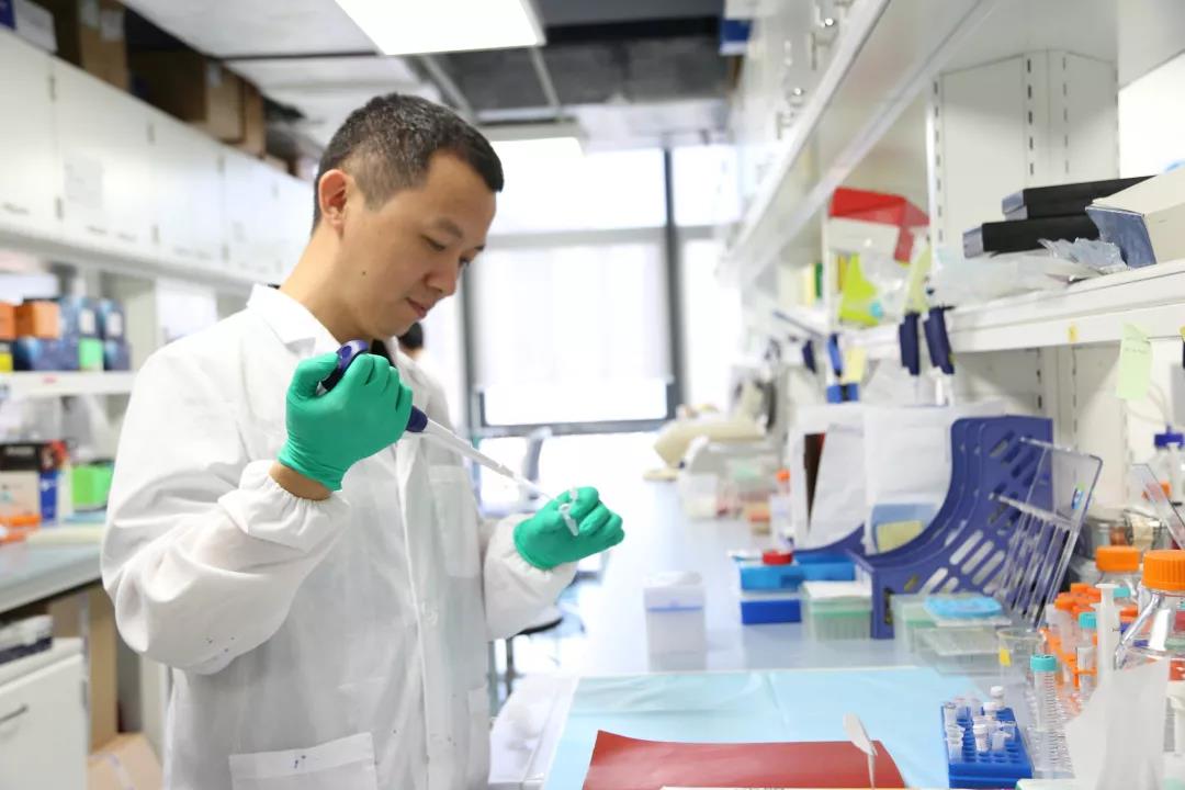 beat365在线体育app