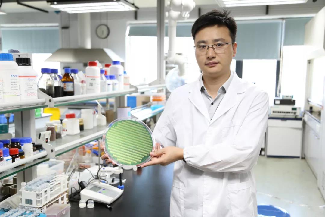 beat365在线体育app