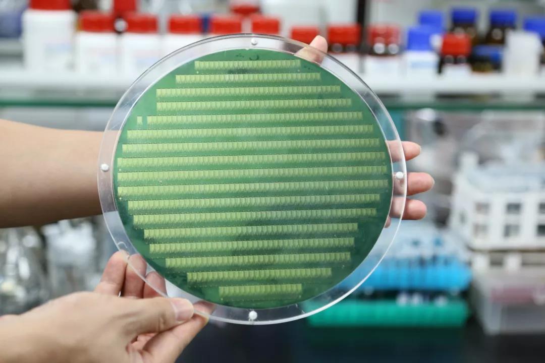 beat365在线体育app