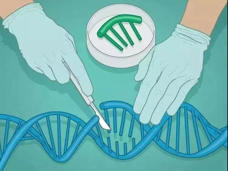 beat365在线体育app