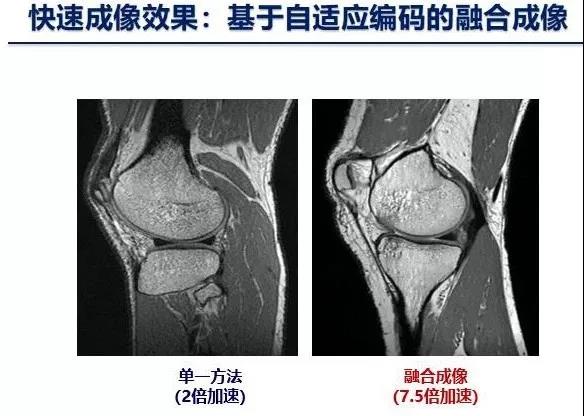 beat365在线体育app