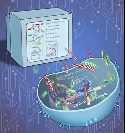 beat365在线体育app