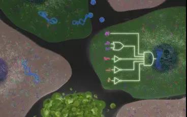 beat365在线体育app