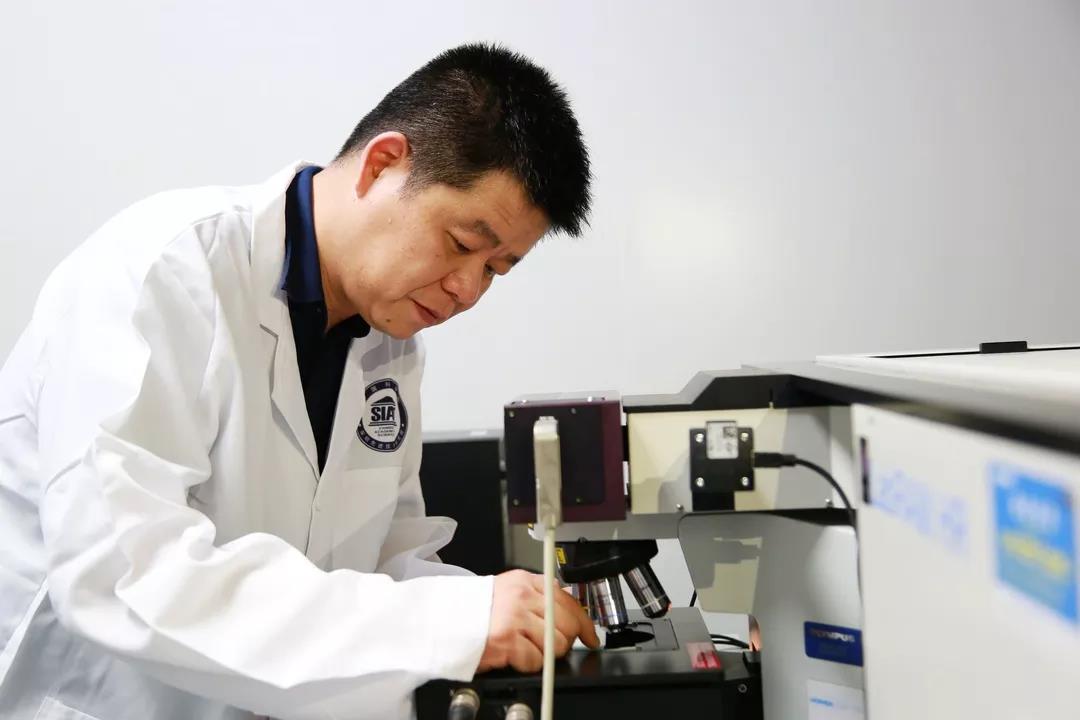 beat365在线体育app