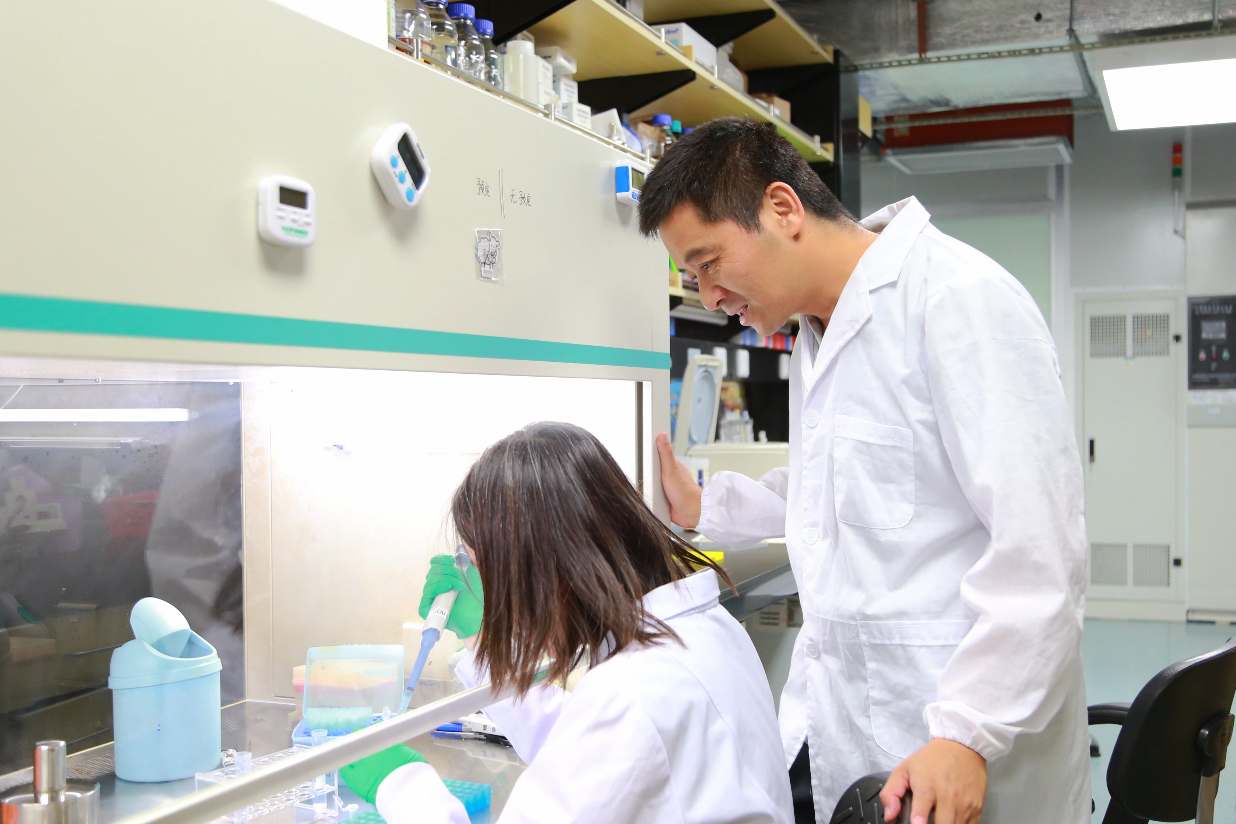 beat365在线体育app