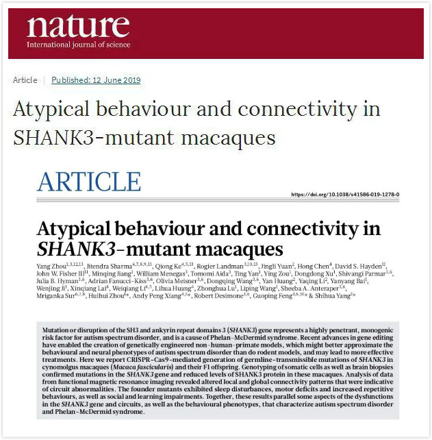 beat365在线体育app