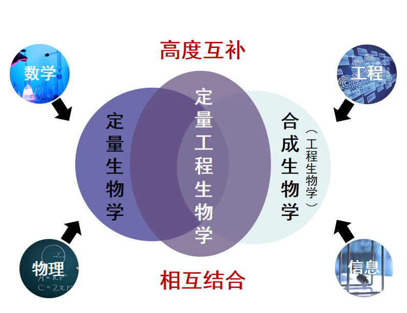 beat365在线体育app