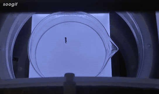 beat365在线体育app