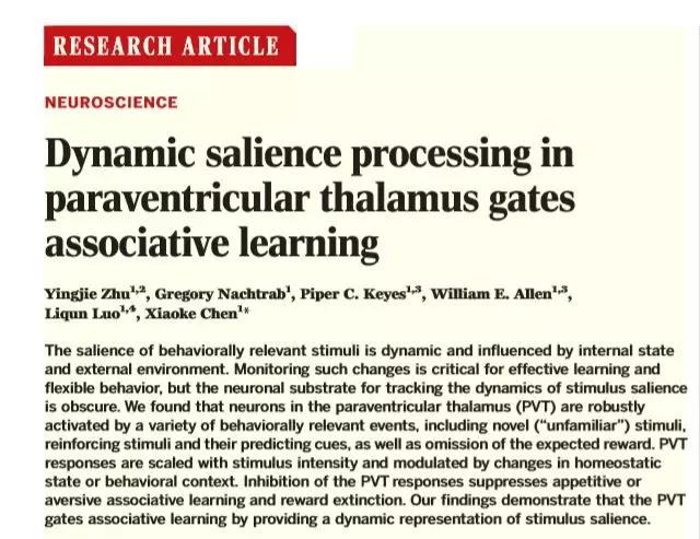 beat365在线体育app