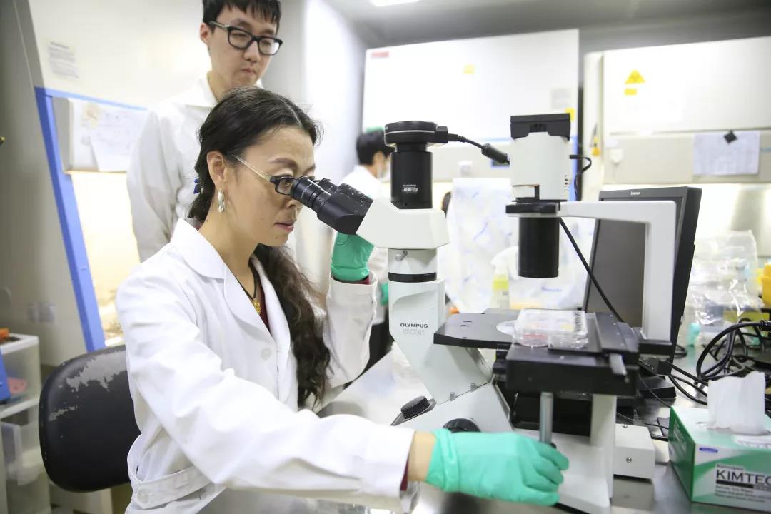 beat365在线体育app