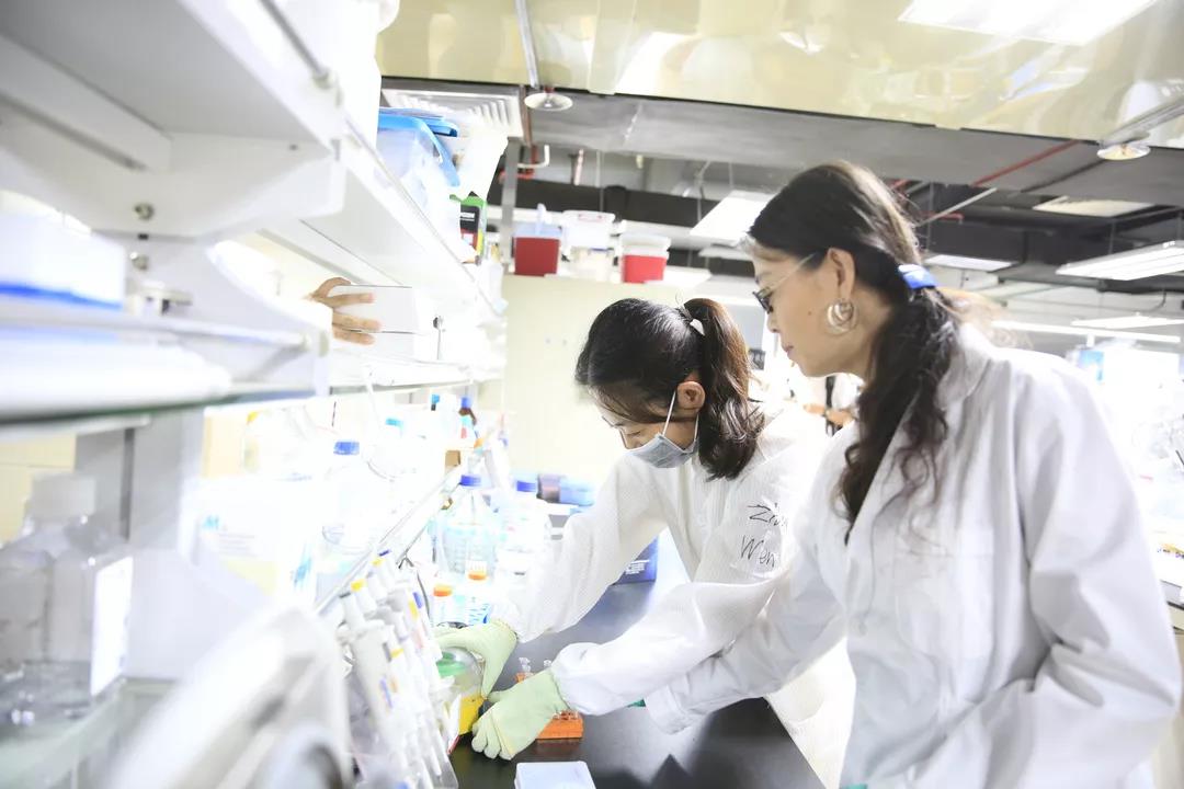 beat365在线体育app