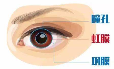 beat365在线体育app