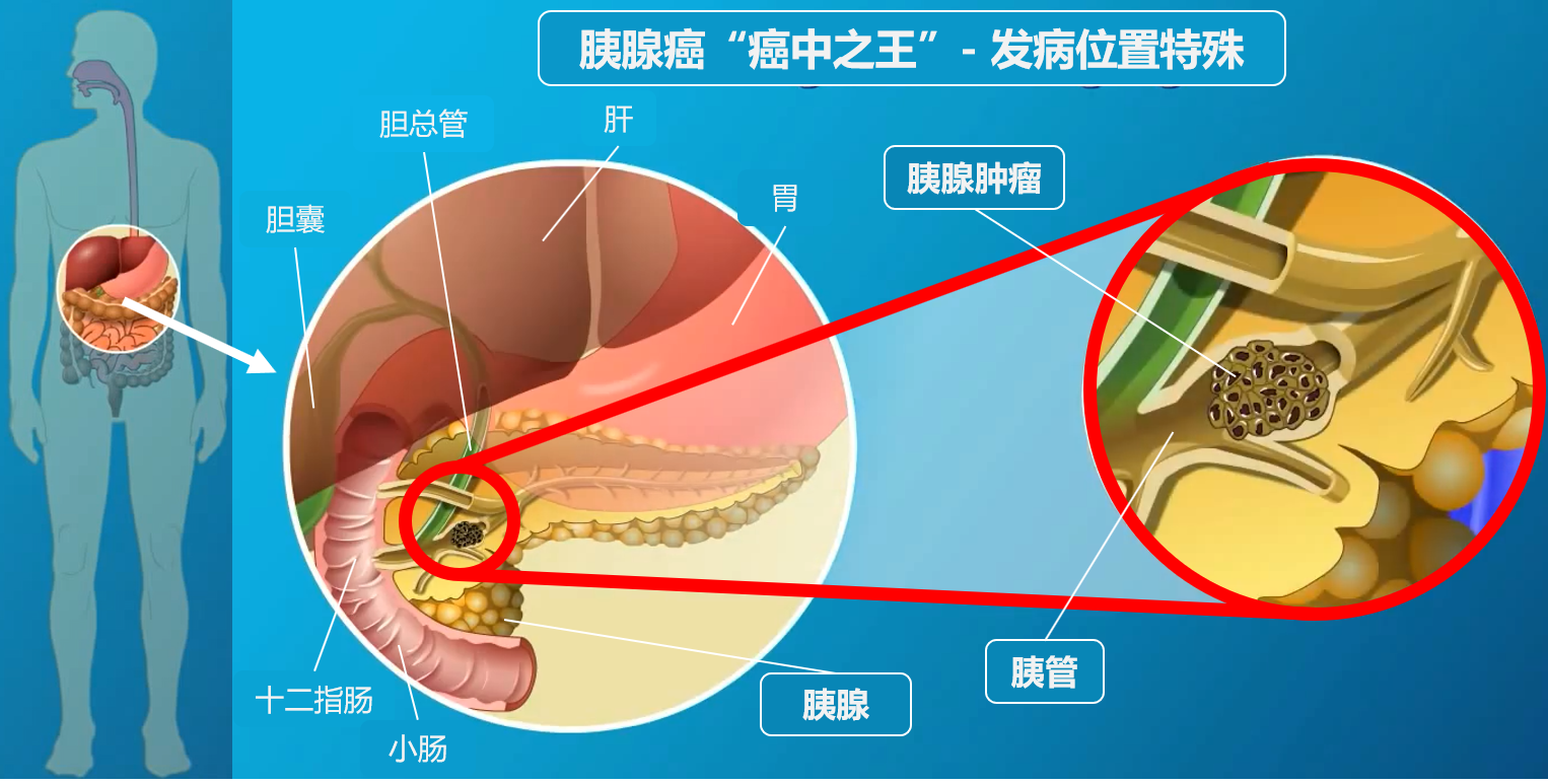 beat365在线体育app