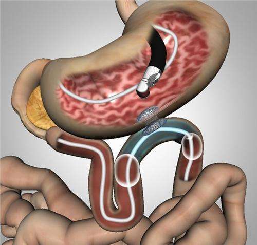beat365在线体育app