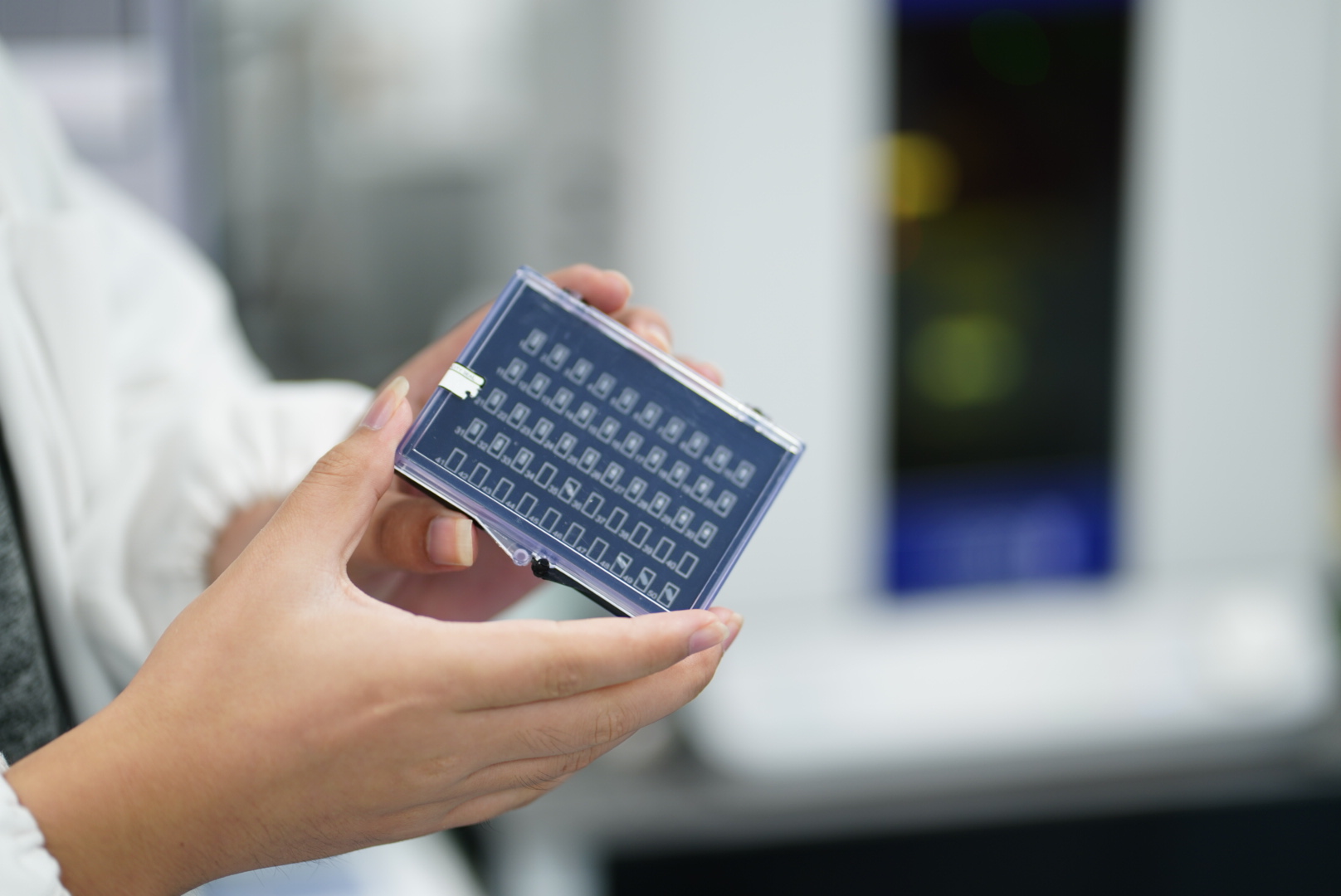 beat365在线体育app