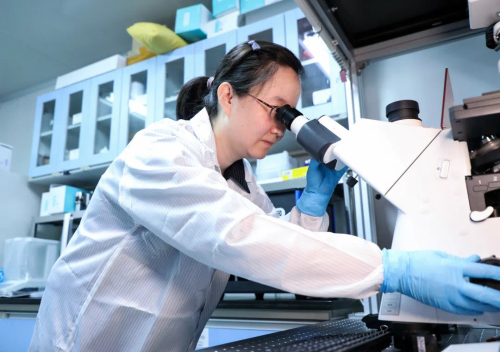 beat365在线体育app