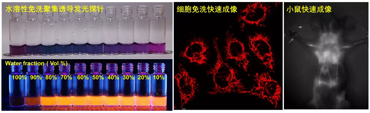 beat365在线体育app