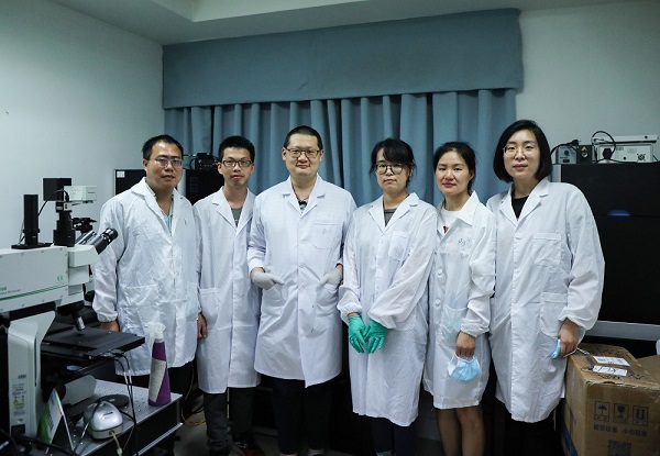 beat365在线体育app