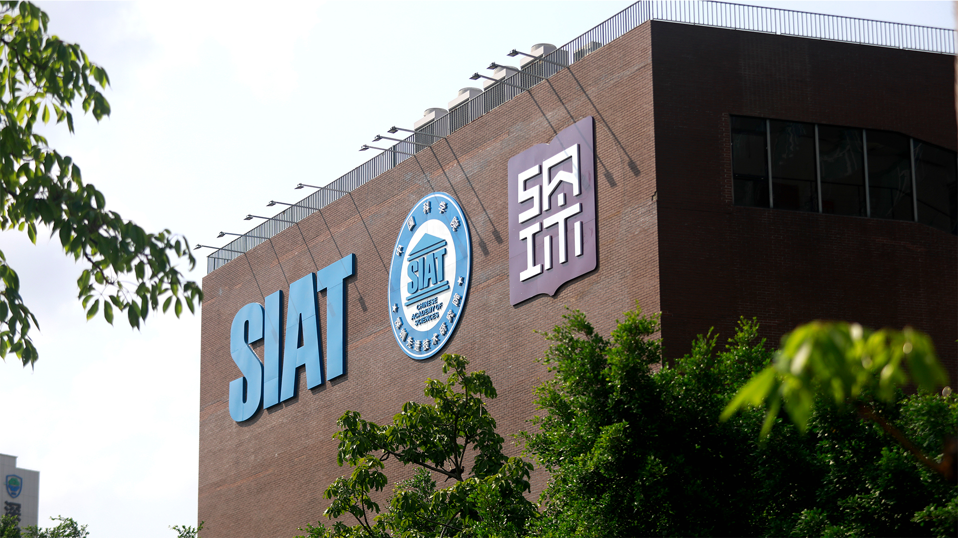 beat365在线体育app