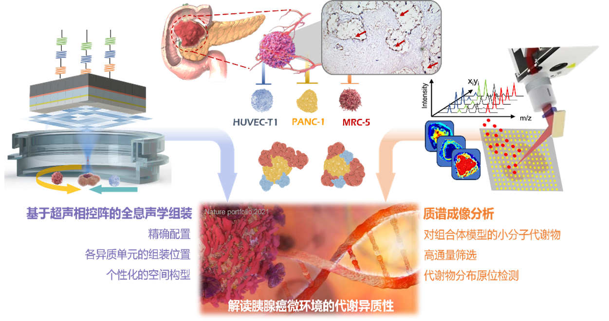 beat365在线体育app