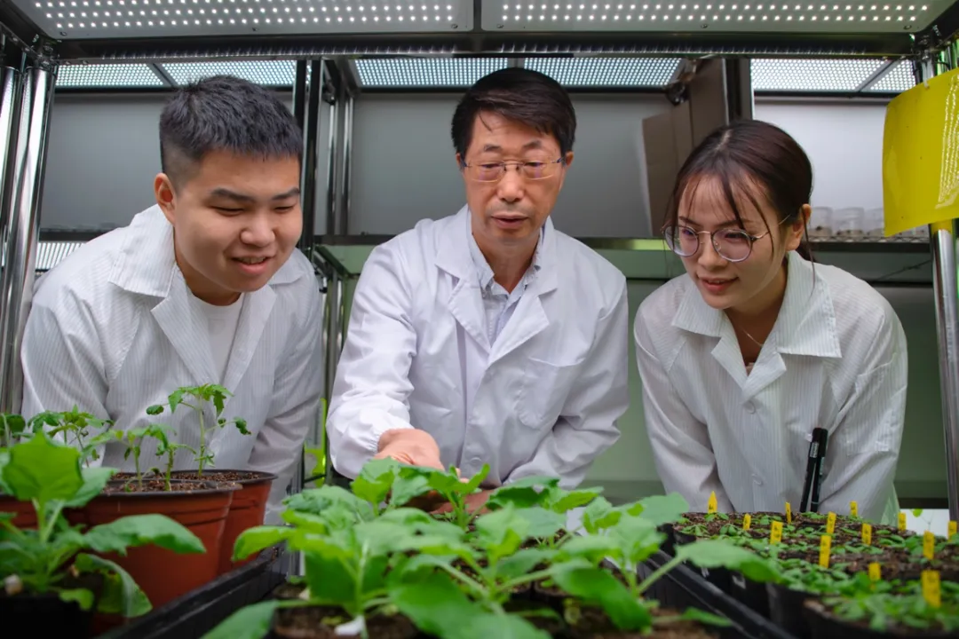 beat365在线体育app