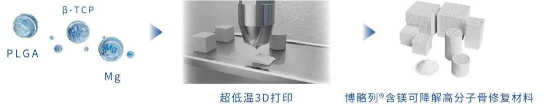 beat365在线体育app