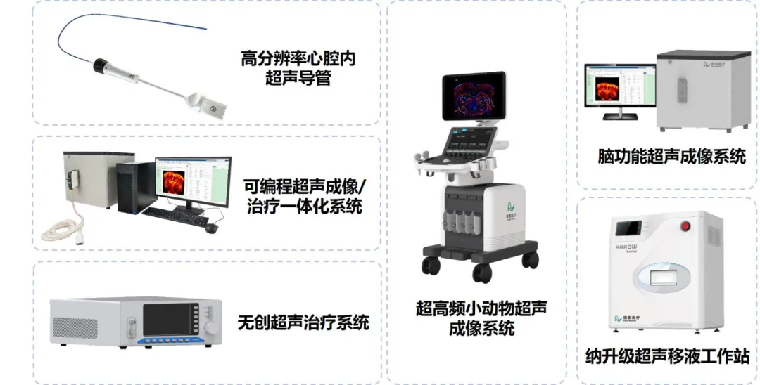 beat365在线体育app